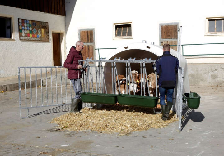 KERBL Kälberbox CalfHouse Premium XL